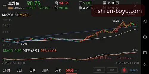 博鱼体育平台新手入门详解：从注册到赛事追踪全攻略
