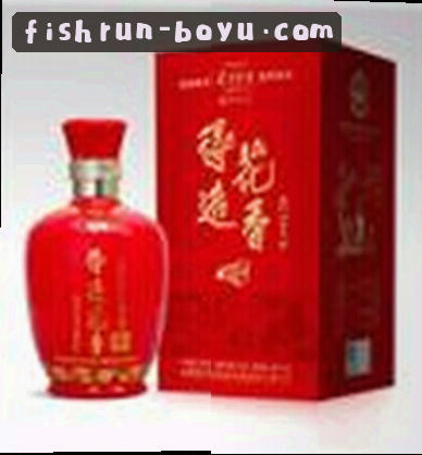 钱姐